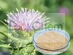 Hot Sale Factory Supply 100% Natural Milk Thistle Extract; Silymarin Milk Thistle; Milk Thistle Extract Silymarin