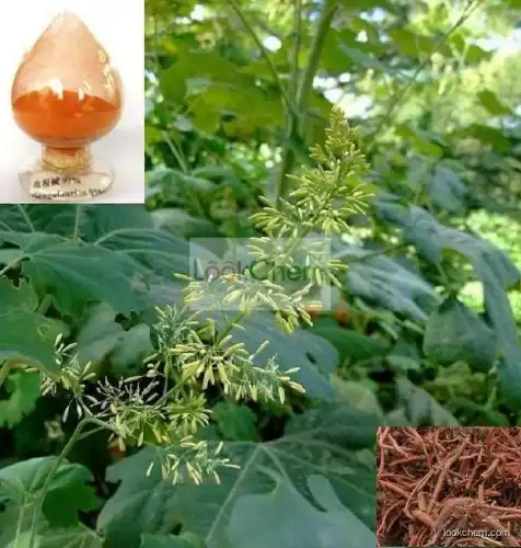 Sanguinarine Powder, Sanguinarine Extract, Macleaya Cordata Extract Powder Sanguinarine