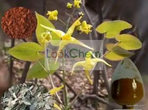 Epimedium Leaf Extract,Herba Epimedii Extract,Icariin Extract 5%-98%