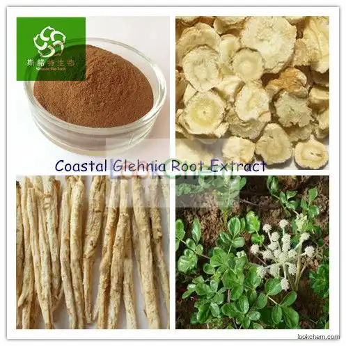 Coastal Glehnia Root Extract Glehnia Root Extract, Coasiai Giehnia Root Extract