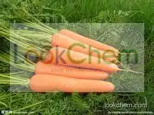 Carrots Extract Beta Carotene 20%