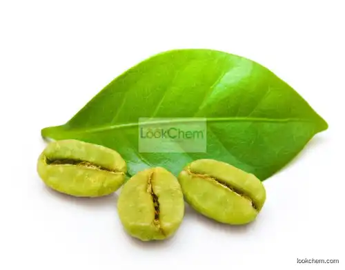 GMP Manufacturer Supply High QualityGreen Coffee Bean Extract powder, Coffee Bean Extract ,Total Chlorogenic acids 45%, 50%, 70%