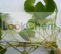 Hydrocotyle asiatica extract, Hydrocotyle asiatica ext.;Centella Asiatia;Gotu Kola Herb Extract;Einecs 283-640-5;Unii-7m867G6T1u;Powdered Centella Asiatica Extract