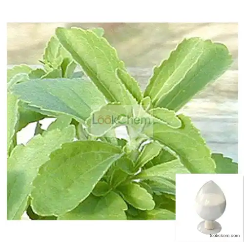 GMP Manufacturer Supply High Quality Stevia Extract Powder,stevioside Extract 80~90% Steviosides