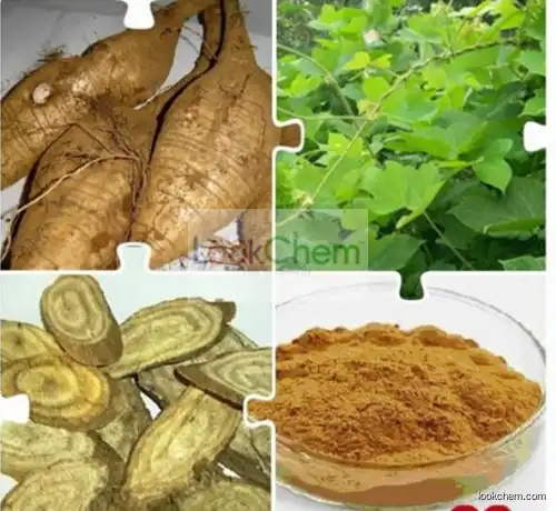 Pueraria Extract/Kudzu Root Extract