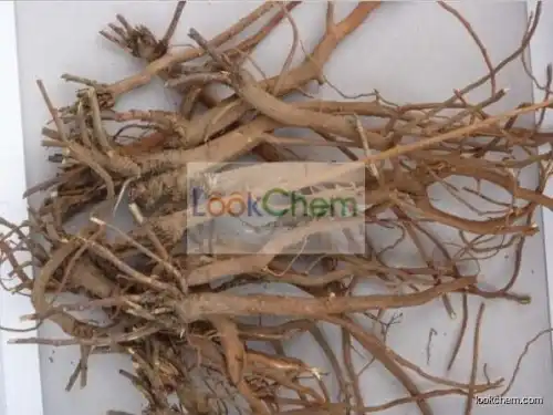 100% Natural Bupleurum Extract, Bupleurum Root Extract, Bupleurum Sinensis Extract