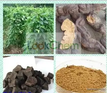 Supply Pure Konjac Extract Powder Glucomannan
