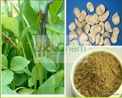 China Manufacturer Pinellia tuber extracts/Pinellia Tuber Extract Powder, Pinellia Tuber Extract Supplier 4:1~20:1