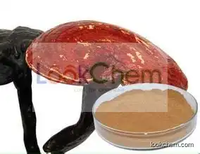 Reishi Mushroom Extract Polysaccharides Triterpenoids 10%20%30%40%