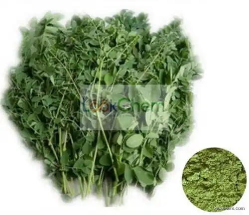 100% Pure Moringa Extract powder, Moringa Powder, Moringa Leaf Extract