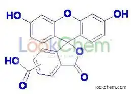 5-Carboxy Fluorescein;5-FAM(76823-03-5)