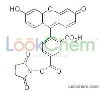 5-FAM,SE (5-Carboxyfluorescein N-succinimidyl ester)