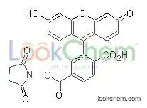 6-Carboxytetramethyl rhodamine;6-TAMRA