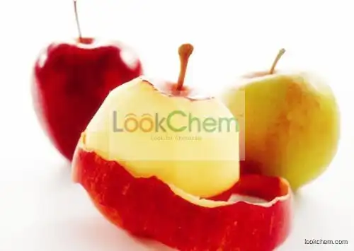 Apple Wood Extract/Green Apple Extract Polyphenols 70%75%80%