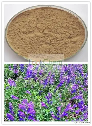 Barbed Skullcap Herb extract  Scutellaria barbata P.E Powder