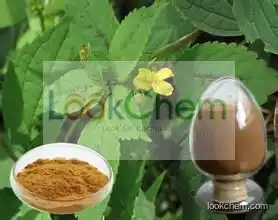 Top quality nettle leaf extract powder