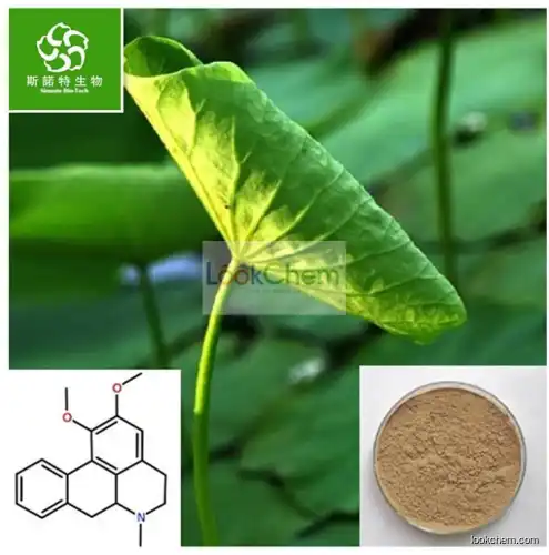 Lotus Leaf Extract Powder Nuciferine Powder 2%,3%10%,98%