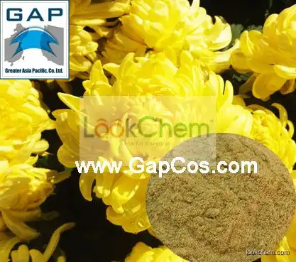 Manufacturers Supply Nature Chrysanthemum Powder