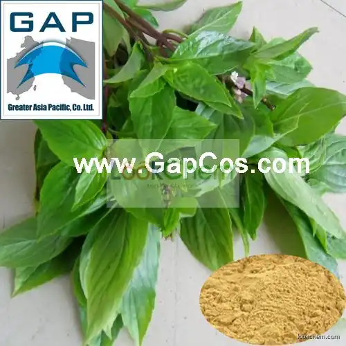 Manufacturers Supply Pure Natural Sweet Basil Powder