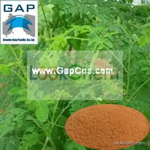 Manufacturers Supply Moringa Oleifera Leaf Powder