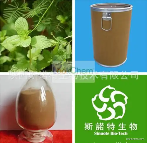 Top Quality Mint Herb Extract,Herba manthae Plant Extract,Mint P.E.4:1~20:1