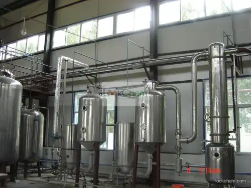 Eleutherococcus senticosus Extract