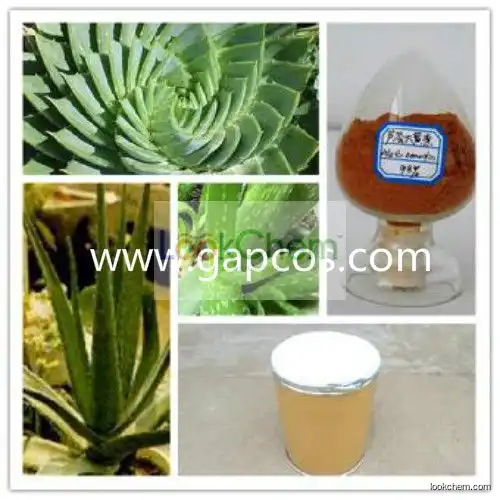 Aloe Barbadensis Mill for Cosmetic Material