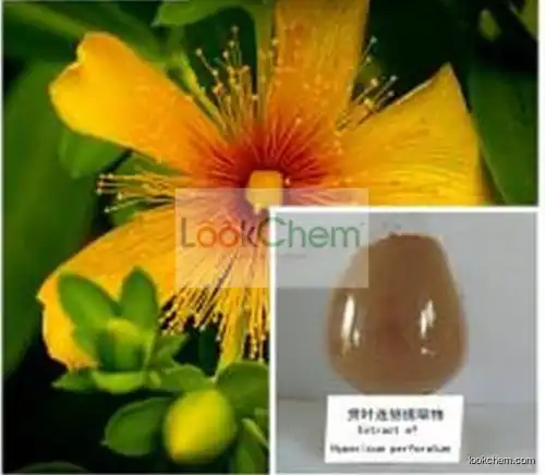 Fructus Forsythiae extract/Weeping Forsythia Extract