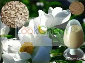 White peony extract  Paeoniflorin / Peony Extract Paeoniflorin / White Peony Root P.E