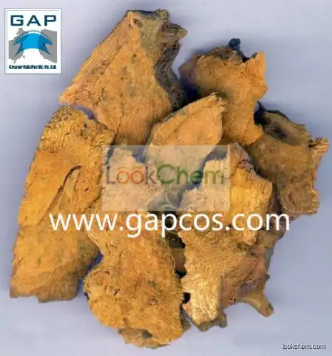 100% Natural Polygonum Cuspidatum Root Extract