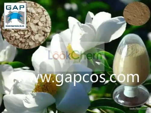 Top Quality Paeonia Lactiflora Extract