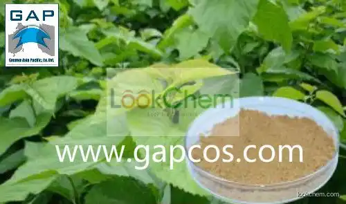 100% Natural Mulberry Leaf Extract