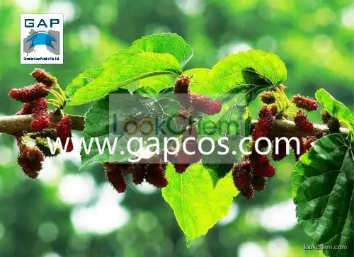 100% Natural Mulberry Leaf Extract