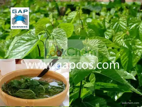 100% Natural Mulberry Leaf Extract