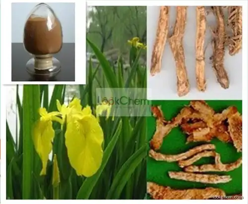 Common Anemarrhena Rhizome extract,Anemarhenae Asphodeliodes p.e.