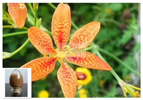 China Supply Rhizoma Belamcandae P.E./Blackberry Lily P.E./Belamcanda Chinensis P.E. 10:1