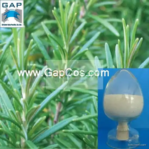 Rosemary Extract Carnosol with Free Sample