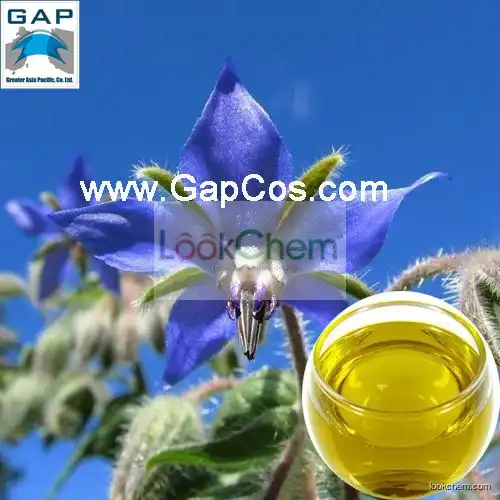Borage Essential Oil with Free Sample
