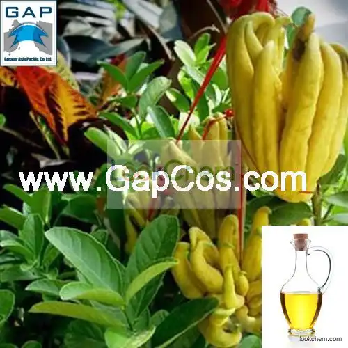 Buchu Leaf Extract Buchu Oil with Free Sample