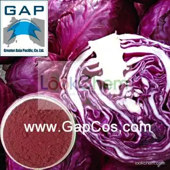 Manufacturers Supply Purple Cabbage Powder
