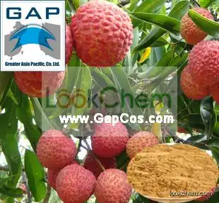 Manufacturers Supply Litchi Fruit Powder