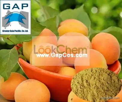 Manufacturers Supply Apricot Juice Powder