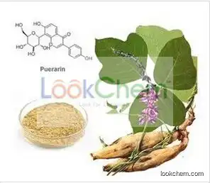 Kudzu Root Extract, Kudzu Root Extract Powder, Pueraria Lobata Extract, Kudzu Root Powder, Kudzu Root P. E.