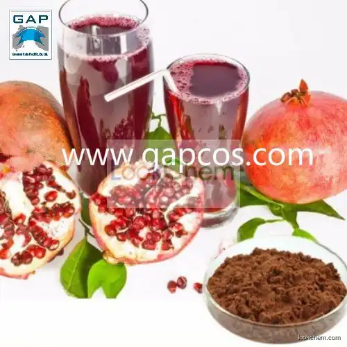 Beverage Fresh Jujube Pomegranate Fruit Juice Powder