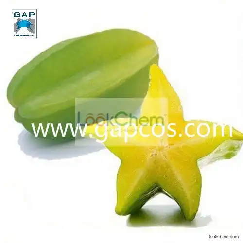 Star Fruit Juice Concentrate Powder