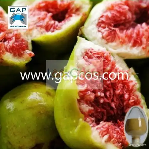 High Quality Water Soluble Fig Extract Powder