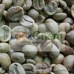 Arabica Green Coffee Bean Extract Chlorogenic Acid