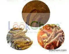 Cordyceps Extract powder 80% Cordycepin