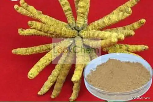 Cordyceps Extract powder 80% Cordycepin