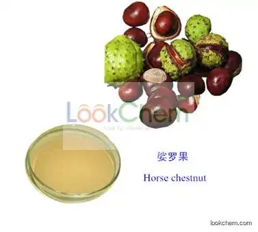 Health Food Horse Chestnut Extract Powder Aescin Esicin Aescigenin 20%80%